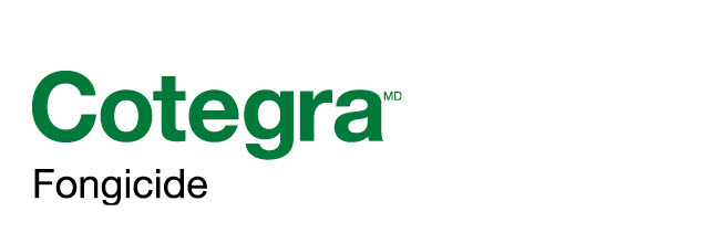 Cotegra logo